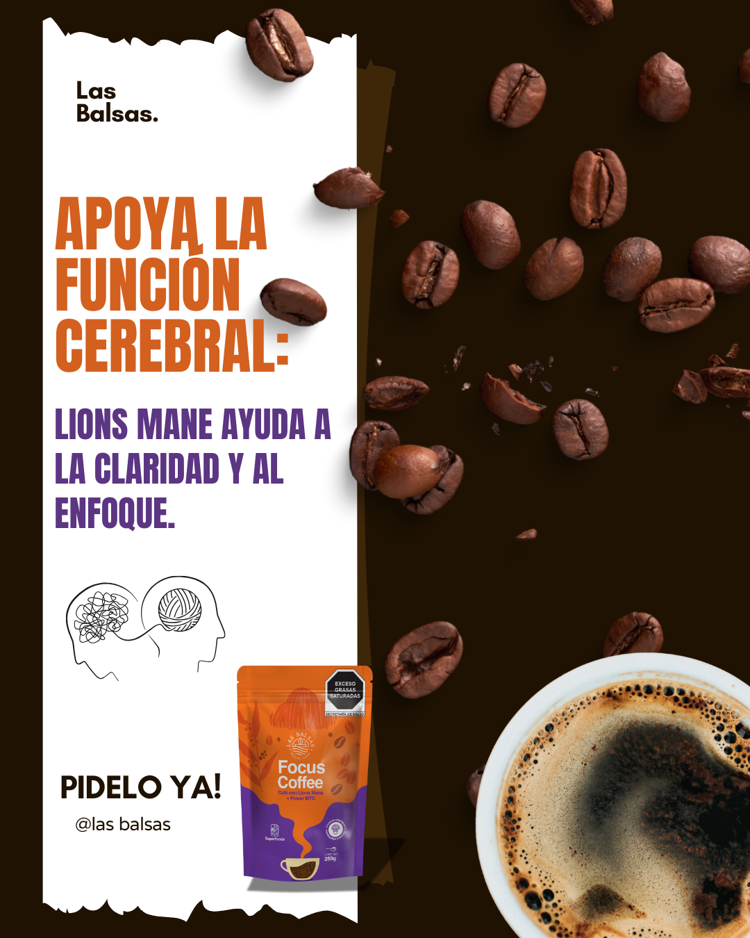 Focus Coffee Las Balsas – Café con Lions Mane y Power MCT, 250 g